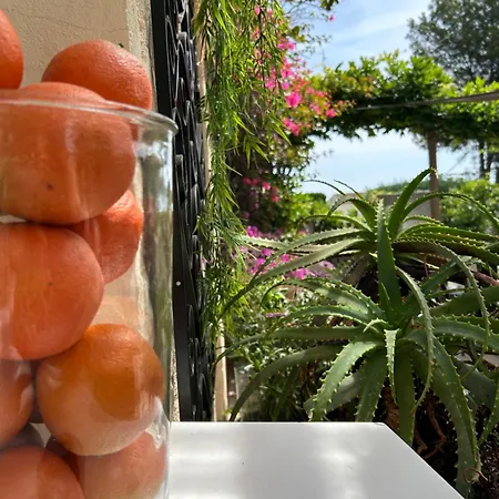 Provençale Hotel 2*