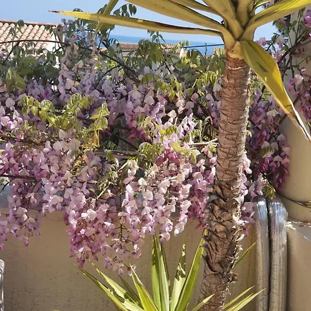 Provencale