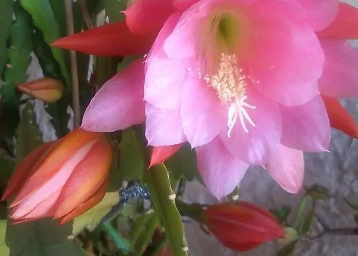 Le Clos Du Dramont 호텔